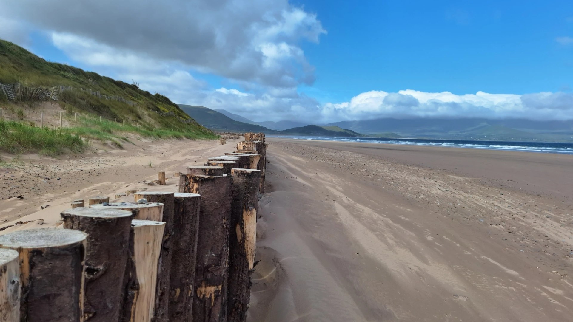 Wooden posts running along a wide Irish beach towards distant mountains